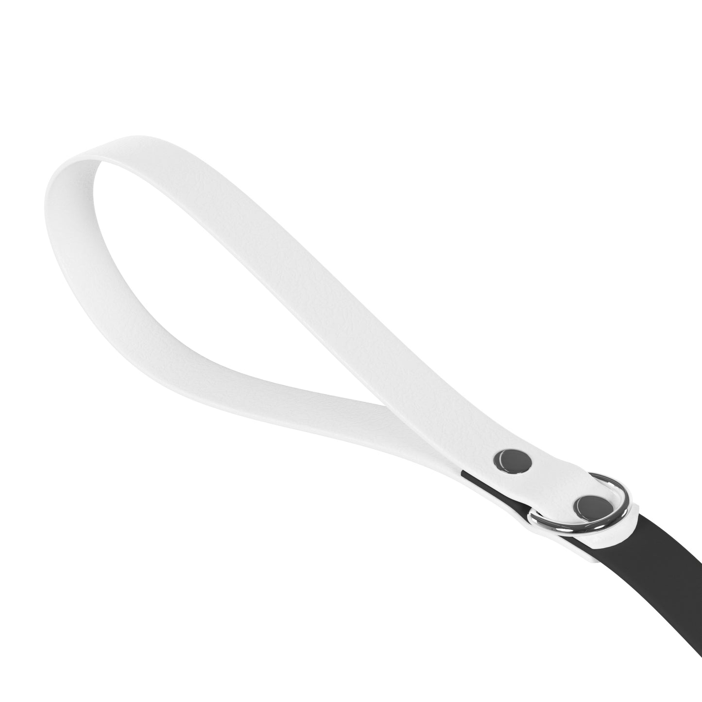 Customizable Dog Leash