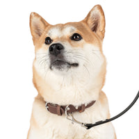 Customizable Dog Leash