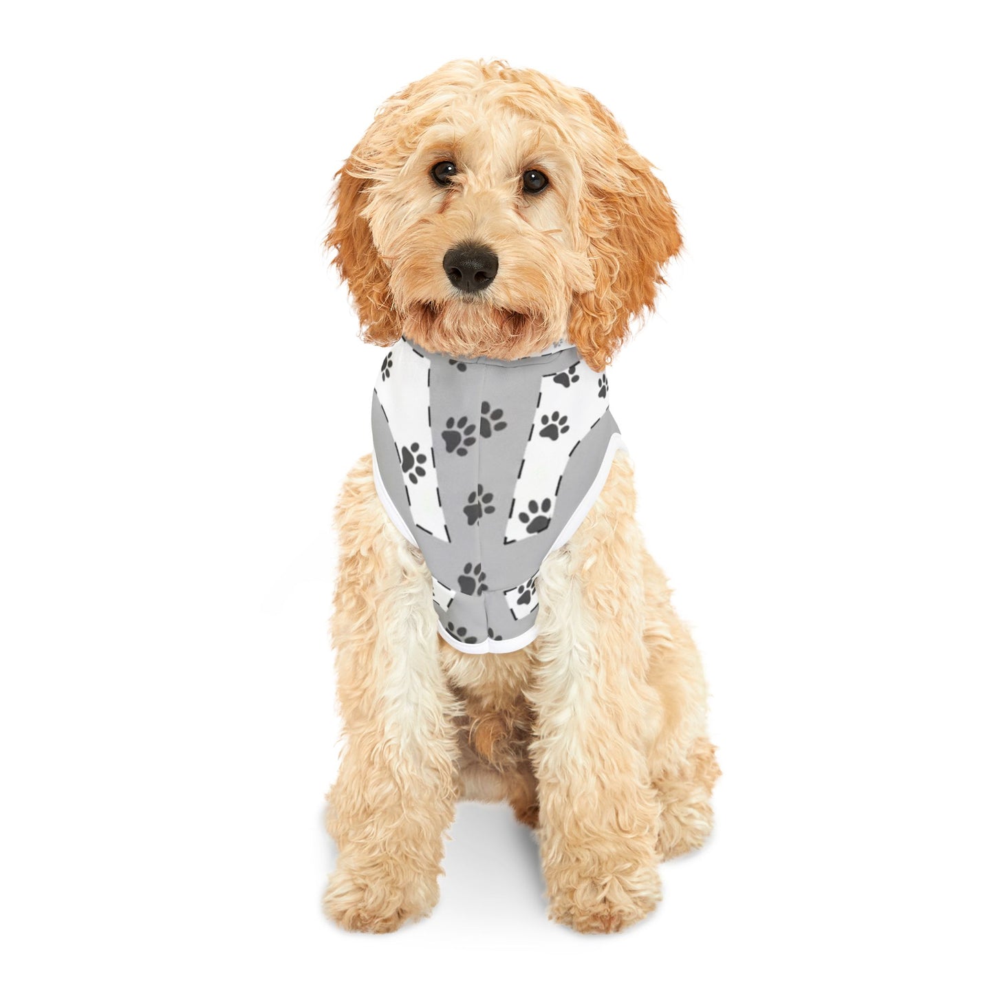 Customizable Pet Hoodie
