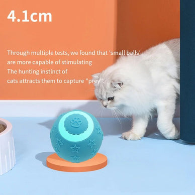 Unleash Joy and Energy for Your Pet!